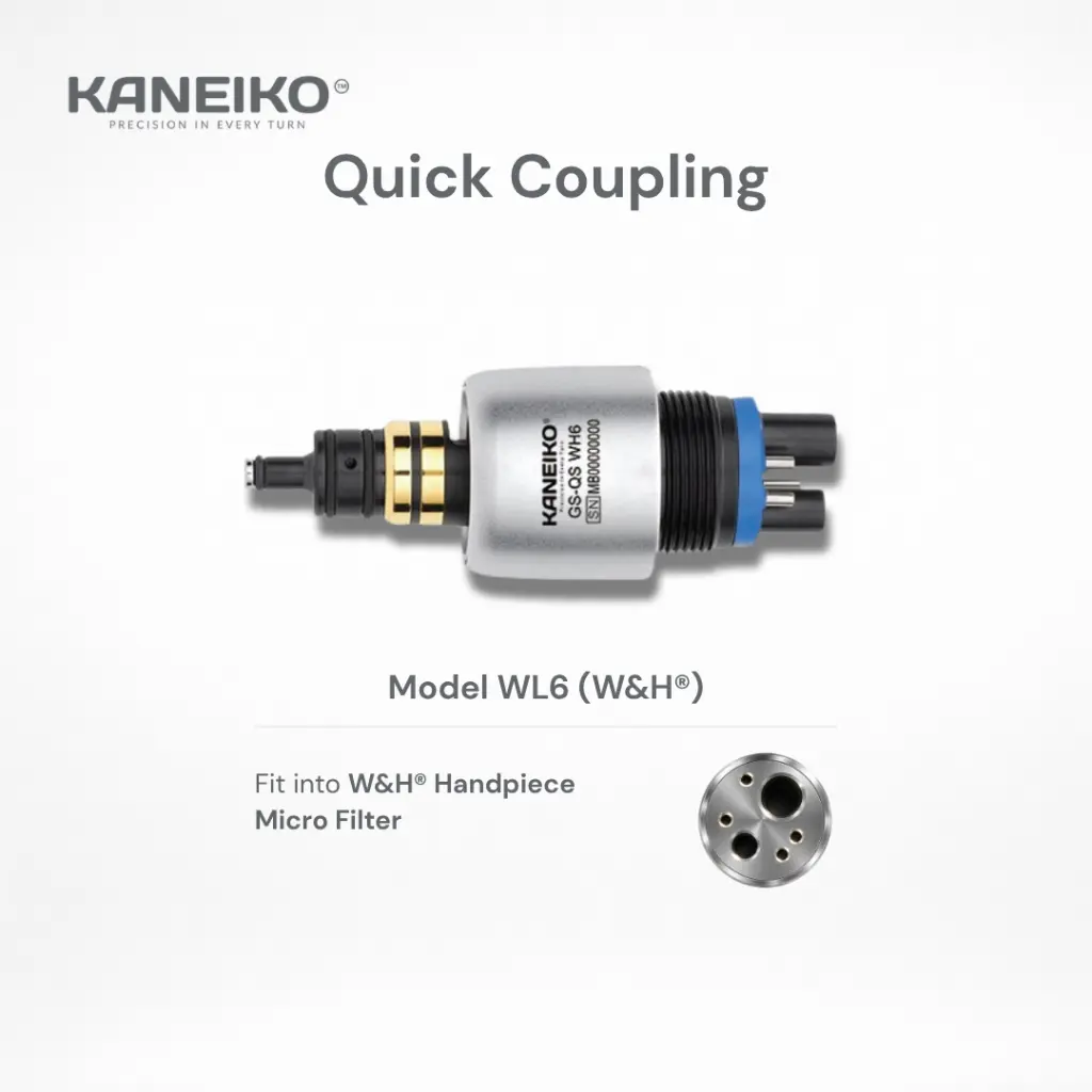 Kaneiko Model WL6 info details.webp
