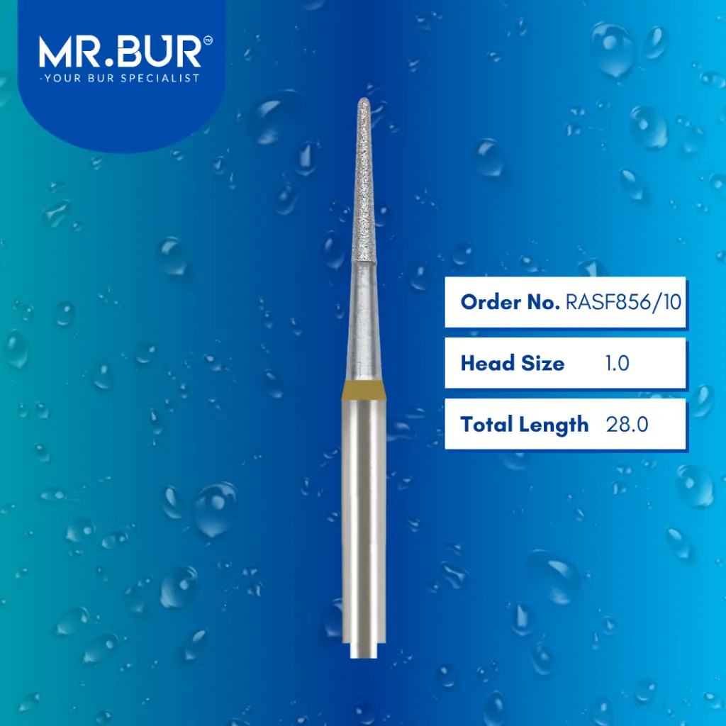 Periodontal-Series-Root-Planing-RASF856_10.webp