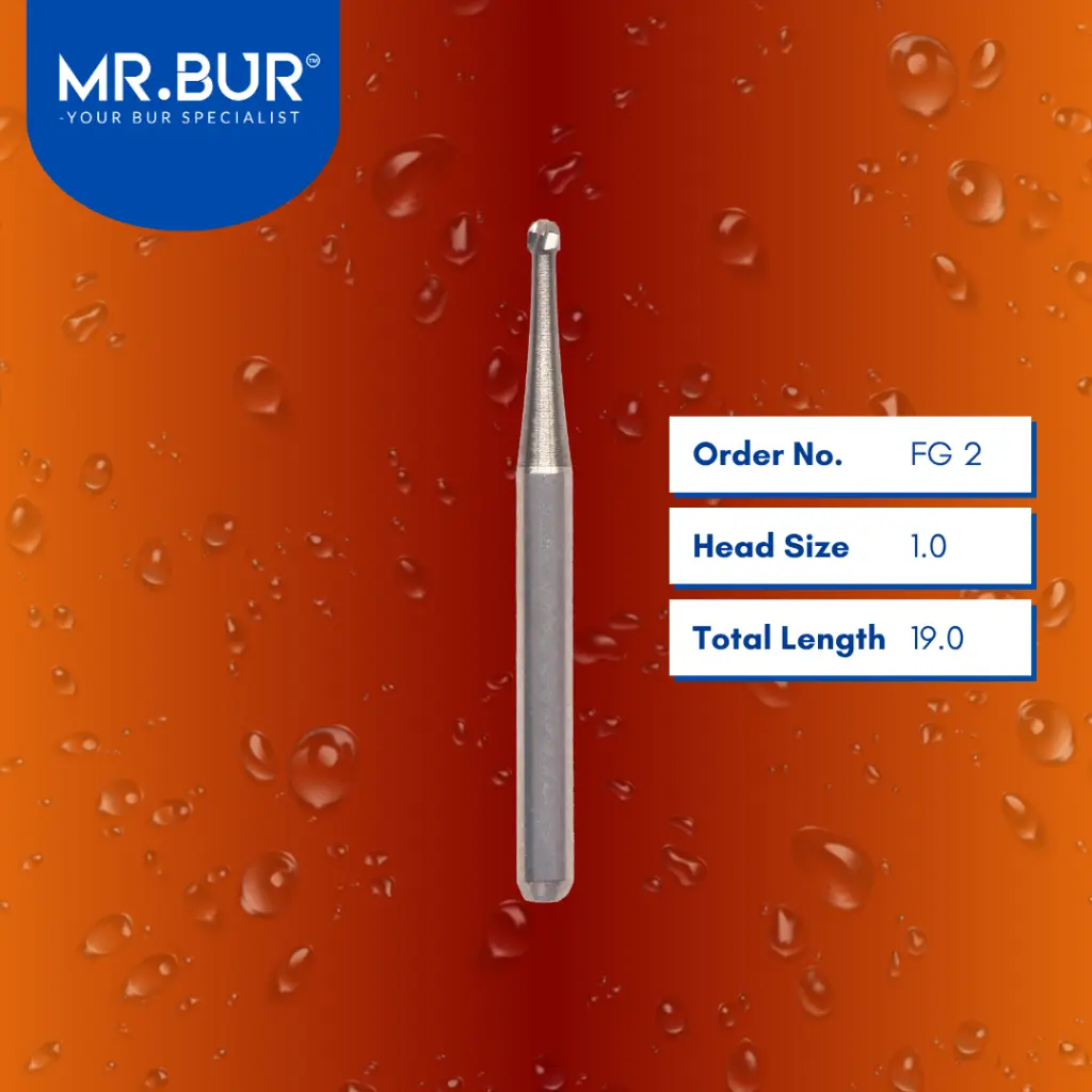 Carbide-Round-Carbide-19mm-FG 2.webp